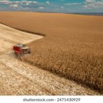 2025107期开奖结果最新公布,大奖花落谁家? 0gfslf