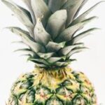 2025106期开奖号码查询与最新结果公布 69yv3n