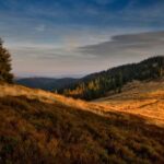 2025099期双色球开奖结果最新公布 6o7gkv0nk7