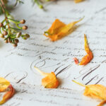 2025117期3D开奖结果公布,最新中奖号码已揭晓 c5hmlki