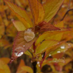 2025101期最新开奖结果与号码详细分析 e74ojx89