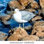 2025103期彩票开奖号码结果查询与公布 fw9d5cp8