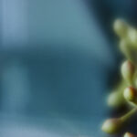 2025118期双色球开奖号码公布及中奖详情 t6tb52y