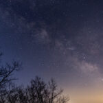 2025114期双色球开奖号码结果查询 u7q0v