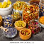 2025113期开奖结果公布最新中奖号码查询 wnxa5ctbbz