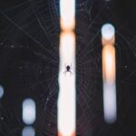 2025111期3D开奖结果最新公布与详细分析 xp5rq