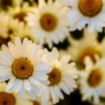 2025104期彩票开奖结果最新公布,大奖花落谁家? zn4q7i8ip